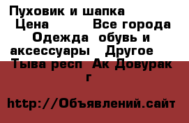 Пуховик и шапка  Adidas  › Цена ­ 100 - Все города Одежда, обувь и аксессуары » Другое   . Тыва респ.,Ак-Довурак г.